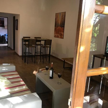 Mza Wine Apartment -Next To Aristides Street- First Class Mendoza Luaran gambar
